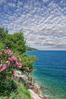 idilliaco costiero paesaggio a Adriatico mare nel Croazia foto