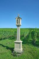 vigneto paesaggio nel francone vino nazione vicino per volkach,franconia,baviera,germania foto