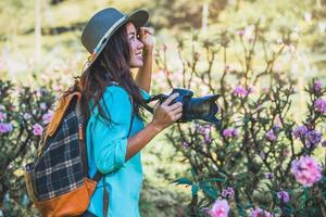natura di viaggio donna asiatica. viaggiare rilassati. in piedi a fotografare bellissimi fiori di albicocca rosa nel giardino di albicocche. foto