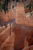 vista sul Bryce Canyon foto