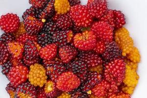 ciotola di salmonberries selvatici, alaska foto