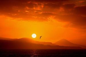 isole canarie, gran canaria, spagna foto