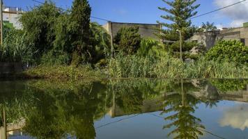 riflessi nel lago gran canaria foto