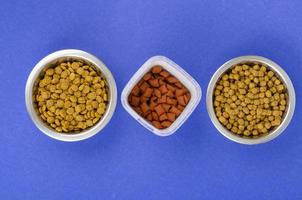 sfondo di ciotole con cibo, giocattoli e articoli per la cura degli animali domestici, vista dall'alto. foto in studio