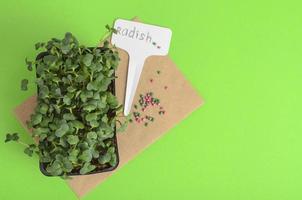 piantare microgreens. confezione con semi di ravanello. attrezzi da giardino per piantare piante foto
