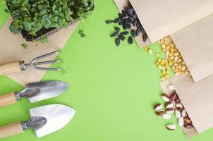 preparazione primaverile e pianificazione per la semina dell'ortaggio. semi di verdure in buste di carta artigianale. lavori stagionali in giardino foto