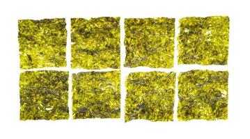 foglie verdi di alghe pressate isolate su sfondo bianco. foto in studio