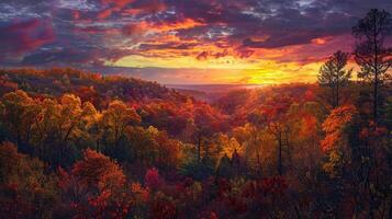 autunno tramonto al di sopra di colorato foresta dipinto Immagine foto