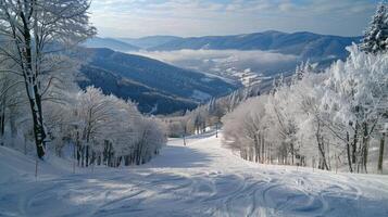 bellissimo inverno natura paesaggio sorprendente montagna foto