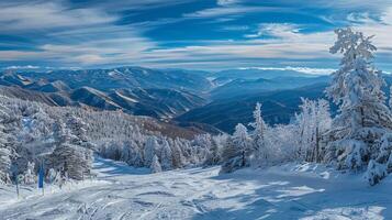 bellissimo inverno natura paesaggio sorprendente montagna foto