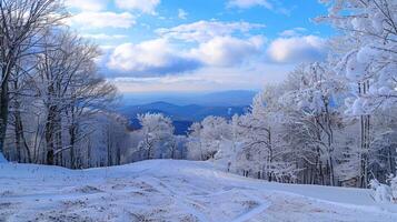 bellissimo inverno natura paesaggio sorprendente montagna foto