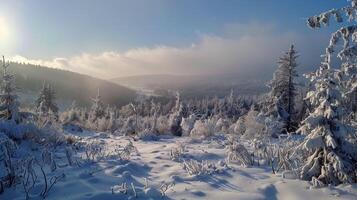 bellissimo inverno natura paesaggio sorprendente montagna foto