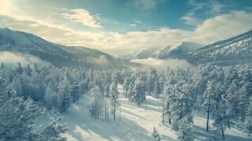 bellissimo inverno natura paesaggio sorprendente montagna foto