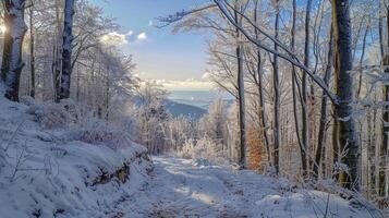 bellissimo inverno natura paesaggio sorprendente montagna foto