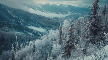 bellissimo inverno natura paesaggio sorprendente montagna foto