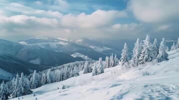 bellissimo inverno natura paesaggio sorprendente montagna foto