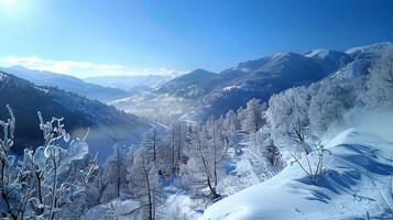 bellissimo inverno natura paesaggio sorprendente montagna foto