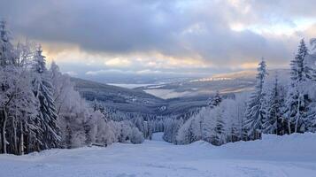 bellissimo inverno natura paesaggio sorprendente montagna foto