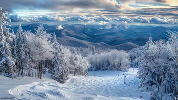 bellissimo inverno natura paesaggio sorprendente montagna foto