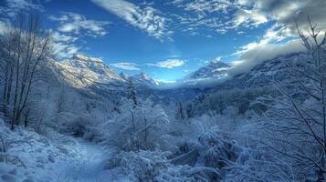 bellissimo inverno natura paesaggio sorprendente montagna foto