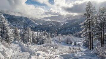 bellissimo inverno natura paesaggio sorprendente montagna foto