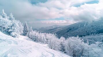 bellissimo inverno natura paesaggio sorprendente montagna foto