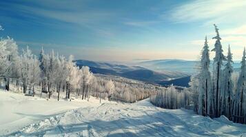 bellissimo inverno natura paesaggio sorprendente montagna foto