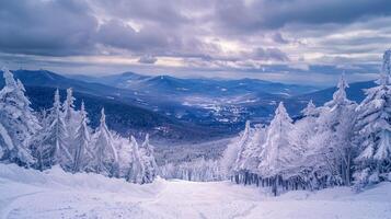 bellissimo inverno natura paesaggio sorprendente montagna foto