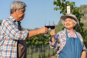 contento vecchio anziano coppia con un' bicchiere di rosso vino celebrare il bene raccogliere di uva. vecchio coppia di asiatico sapori e controllo rosso al di fuori nel un' vigneto su un' vigneto sfondo. foto