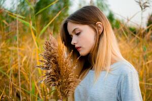 bellissimo giovane ragazza indossare vuoto grigio maglietta e nero jeans in posa contro alto verde e giallo erba nel presto caldo autunno. all'aperto ritratto di bellissimo femmina modello. foto