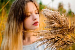 bellissimo giovane ragazza indossare vuoto grigio maglietta e nero jeans in posa contro alto verde e giallo erba nel presto caldo autunno. all'aperto ritratto di bellissimo femmina modello. foto