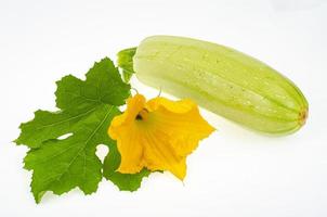 fiore giallo e foglie di zucchine verdi su sfondo bianco. foto in studio