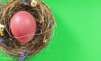 sfondo colorato con uova di Pasqua su sfondo rosa. felice Pasqua concetto. può essere utilizzato come poster, sfondo, biglietto di auguri. laici piatta, vista dall'alto, copia spazio. foto in studio