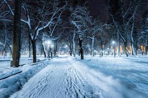 inverno parco a notte con Natale decorazioni, luci, marciapiede coperto con neve e alberi. foto