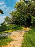 parco con verde colline e storico architettura a il petrovaradin fortezza foto