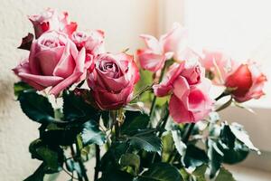 bouquet di rose rosa foto
