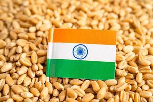 chicchi di grano con bandiera indiana, esportazione commerciale e concetto di economia. foto