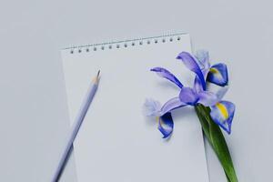 taccuino con vuoto pagina, matita e viola iris fiore su leggero grigio sfondo. piatto posizione. foto