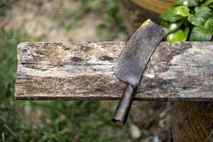 grande cucina coltello riposa su un' di legno tavola. foto