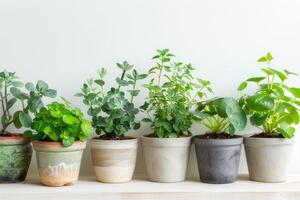 verde impianti fioritura nel pentole bianca sfondo foto