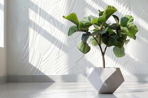 un' in vaso Figura albero visualizzato nel un' elegante geometrico pentola. foto