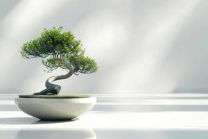 un' Bonsai albero piantato nel un' pulito, minimalista pentola. foto