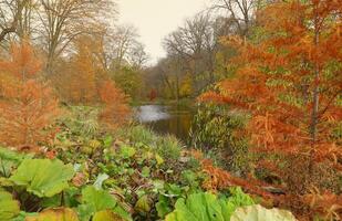 bellissimo natura autunno paesaggio con lago. scenario Visualizza su autunno città parco con d'oro giallo fogliame nel nuvoloso giorno foto