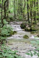 montagna ruscello nel il foresta - lungo esposizione e fluente acqua foto