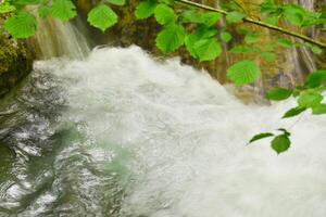 montagna ruscello nel il foresta - lungo esposizione e fluente acqua foto