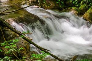 montagna ruscello nel il foresta - lungo esposizione e fluente acqua foto