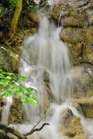 montagna ruscello nel il foresta - lungo esposizione e fluente acqua foto