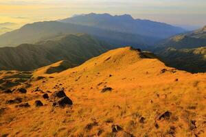 il prateria su il colline nel il mattina foto