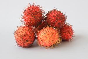 rambutan tassonomico nome, nefelio lappaceum è un' medio dimensioni tropicale albero nel il sapindaceae famiglia foto