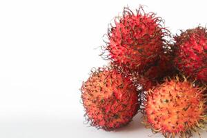 rambutan tassonomico nome, nefelio lappaceum è un' medio dimensioni tropicale albero nel il sapindaceae famiglia foto